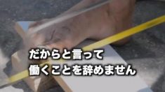 【ジェラルド・ペレイラ玩具職人47歳】彼には生まれつき両腕がありません