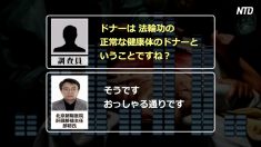 【動画ニュース】追査国際が中国の病院に電話聞き取り調査　法輪功学習者の臓器使用を肯定