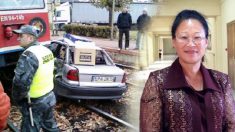 【1000分の1秒の奇跡】踏切での衝突事故で無傷だった女性の秘密とは？