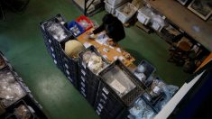 リスボンの有名レストラン近くで古代ローマの墓地出土