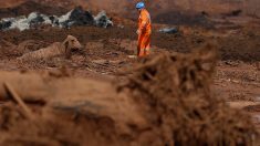 ブラジルダム決壊、死者58人に　300人近くがなお行方不明