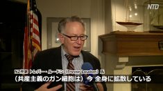 【動画ニュース】ニュージーランド作家「共産主義の浸透で米国は岐路に立たされている」