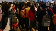 【動画ニュース】香港の病院に中国人殺到 HPVワクチン接種のため