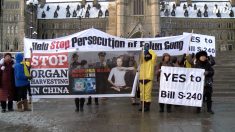 【動画ニュース】強制臓器摘出抑制法案 カナダ下院委員会で可決