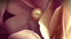 【中国の古代物語】忘れられた宝