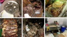 【動画ニュース】四川省の小学校で給食に腐った食材使用 保護者数千人が抗議