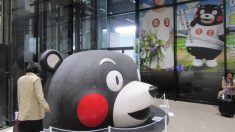 【散歩道で見た花や風景】巨大くまモン出現？