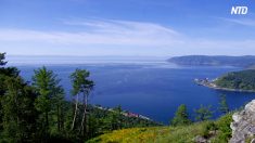 【動画ニュース】ロシアが中国資本のボトルウォーター工場の建設中止命令