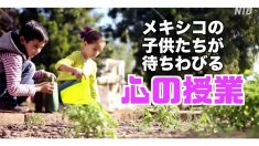 メキシコの子供たちが待ちわびる「心の授業」