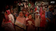 【動画ニュース】産業化した臓器狩り ターゲットは中国から国際社会へ