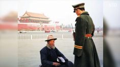 【実話】ワンさんの『はきつぶした9足の靴』の物語