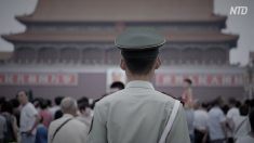 【動画ニュース】米シンクタンクが一帯一路の7つのリスクを指摘