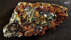 【動画ニュース】「中国はレアアース輸出禁止で自身の首を絞める」専門家が指摘