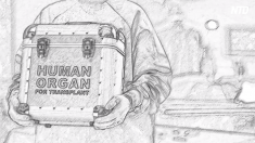 【動画ニュース】中国の元軍病院研修医が恐怖の体験を語る