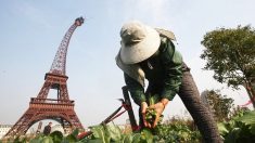 中国のパクリ建造物トップ10【チャイナ・アンセンサード】