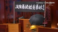 【動画ニュース】当局の罠だった？！疑惑の残る立法会占拠事件