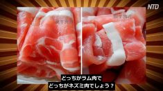 危険な中国のニセモノ食品10選【チャイナ・アンセンサード】