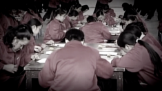 【動画ニュース】「新疆で製造した奴隷製品を輸入禁止に」米民間団体