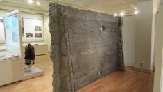 【創立110周年を迎えた国立療養所】菊池恵楓園（きくちけいふうえん）