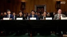 【動画ニュース】香港民主派が米国会で証言 人権法案の早期通過を促す
