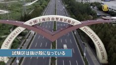 【動画ニュース】上海自由貿易試験区「企業の撤退で抜け殻に」