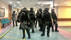 【動画ニュース】元国境なき医師団医師「香港の救急医療環境は戦地よりも悪い」