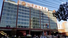 【動画ニュース】北京市民「政府はペスト患者の数をごまかしている」