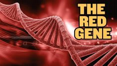 習近平の道徳革命「赤い遺伝子を継承」？【チャイナ・アンセンサード】