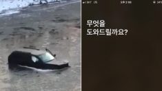 “시리야, 119에 전화해” 눈길에 미끄러져 강에 빠진 남성이 아이폰 덕분에 목숨을 구했다