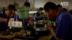 【動画ニュース】警官の実名告発 刑務所の殺人・臓器販売システム