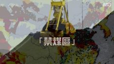 【動画ニュース】政府職員が石炭かまどを強制封鎖 炊事と暖房手段を封じられた村民から怒りの声