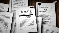 【動画ニュース】「新疆文書」が再度流出「ジェノサイドが進行している」