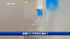 【動画ニュース】点滴バッグの中に虫が！「病院は病気を治すところだ」