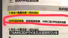 【動画ニュース】武漢で原因不明の肺炎 SARS再来の懸念