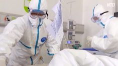 「ウイルスは野生動物由来ではない」大紀元が調査報告を発表