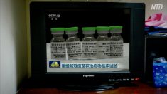 中共肺炎ワクチン製造企業の株価が謎の急騰 買い手は誰？