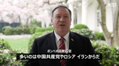 「中共などからの偽情報に注意を」ポンペオ国務長官が動画で呼びかける