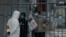 武漢の医師家族「再度大規模感染が発生」 当局「収束に向かっている」