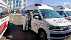 内モンゴルでペスト発生か 地元政府内部文書を入手