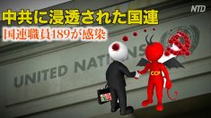中共に浸透された国連 職員189人が感染