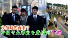 福建省が新卒者600人の農村動員モデル活動に着手「文革時代に後退するのか」