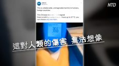 体温計の中が空洞！ 偽物だらけの中国製に世界が困惑