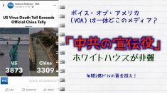 「中共の宣伝役」ホワイトハウスがVOAを非難 学者は中共の浸透を指摘