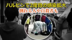 ハルビンで2度目の感染拡大 倒れる人や自殺者も