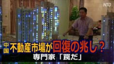 中国メディア「中国不動産市場が回復の兆し」専門家は「罠だ」
