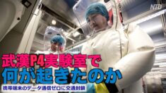 携帯端末のデータ通信ゼロに交通封鎖　武漢P4実験室で何が起きたのか【禁聞】