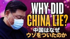 中共ウイルスの隠蔽 中国はなぜウソをついたのか？【チャイナ・アンセンサード】
