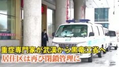 黒竜江省の各地に疫病が蔓延 地元政府は隠蔽