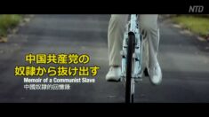 中国共産党（CCP）の奴隷から抜け出すまで【回想録】True Story Memoir of a Communist Slave