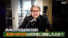 スティーブ・バノン：多くの中国人が告発している【Zooming in】